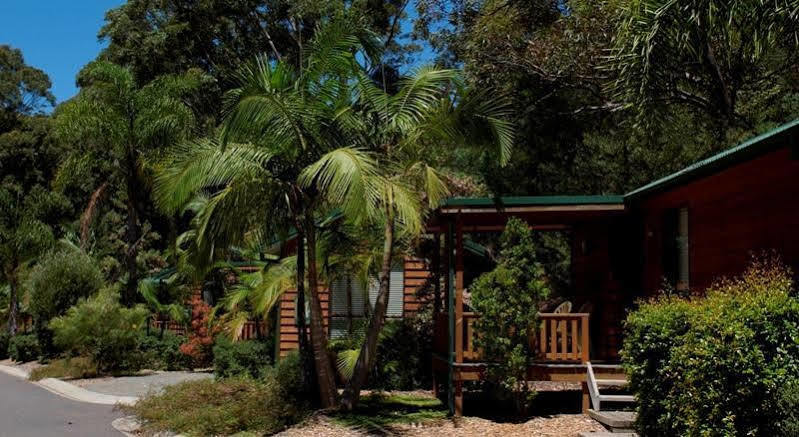 The Palms At Avoca Avoca Beach Exterior foto